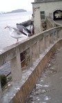 070309_1006~0001.jpg